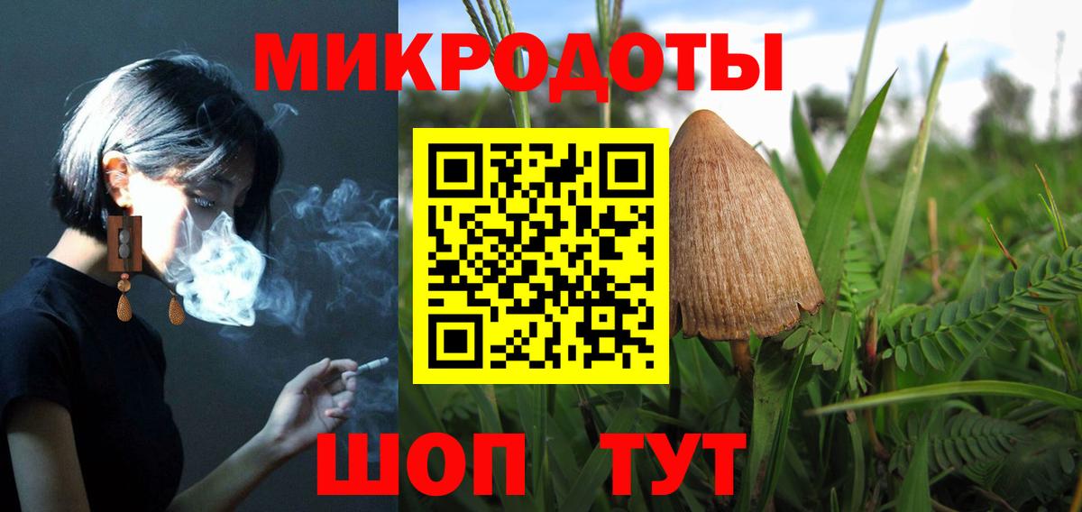 Псилоцибиновые грибы Cubensis Гурьевск