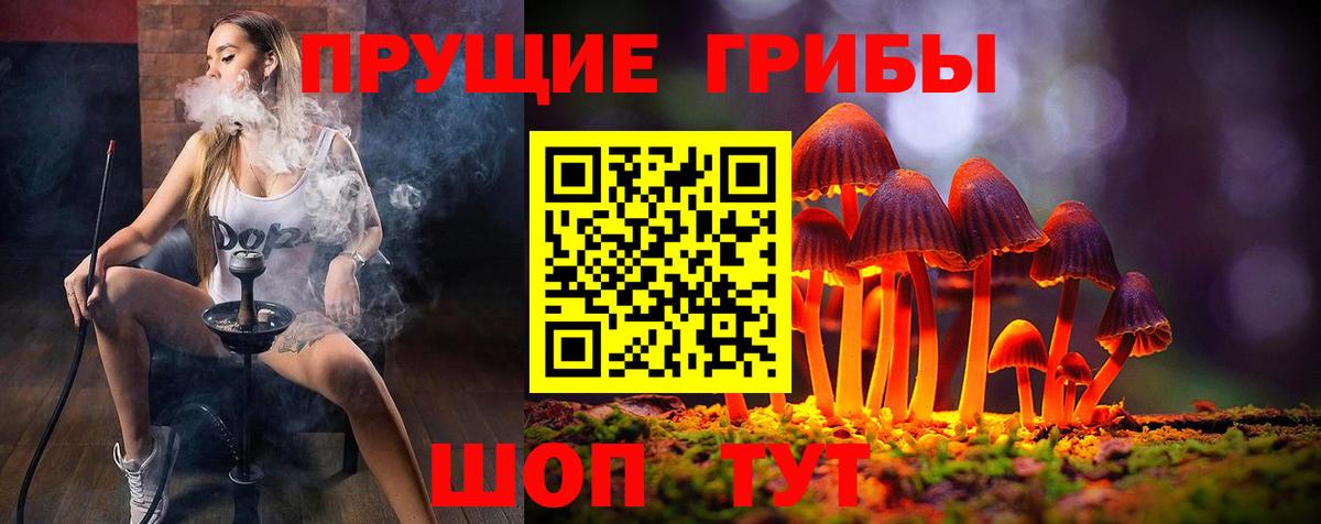 Псилоцибиновые грибы MAGIC MUSHROOMS  Вход с VPN  Псилоцибиновые грибы мицелий  Гурьевск 
